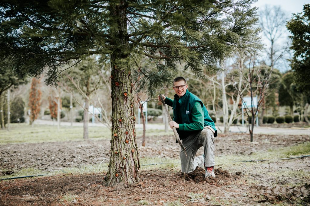 Teammitglied Pflanzen Mohr bei der Arbeit