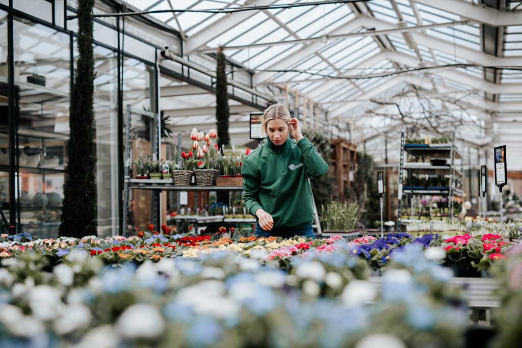 Teammitglied Pflanzen Mohr bei der Arbeit