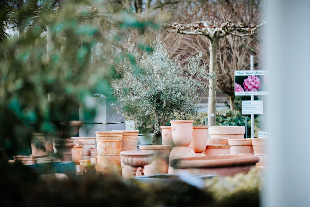 Pflanzenhandel Anlage Köln