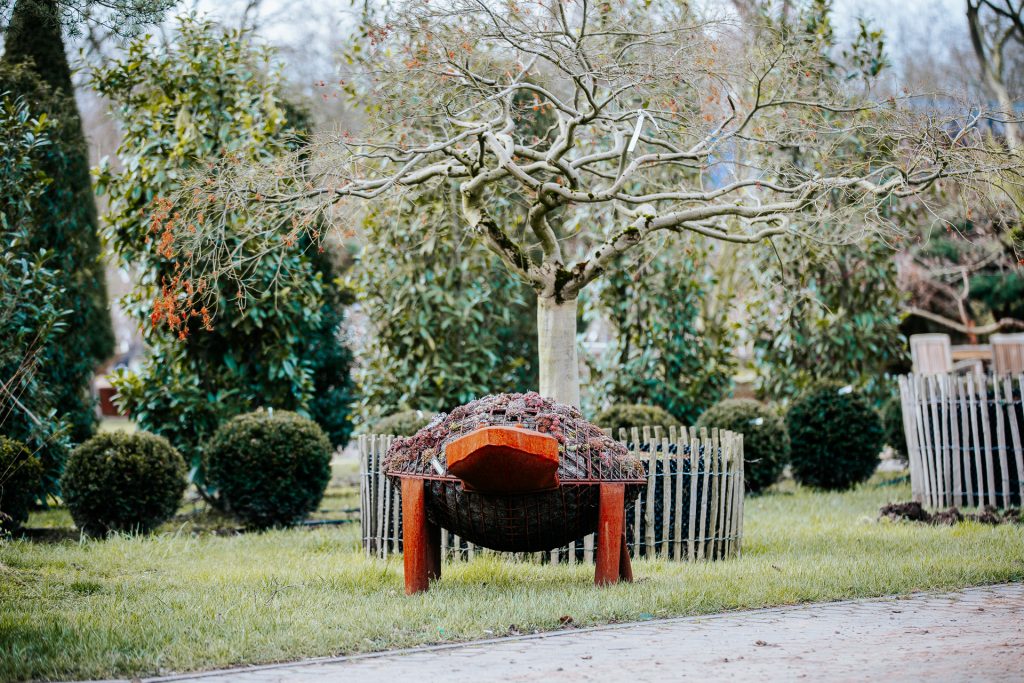 Gartenanlage Pflanzen Mohr Köln