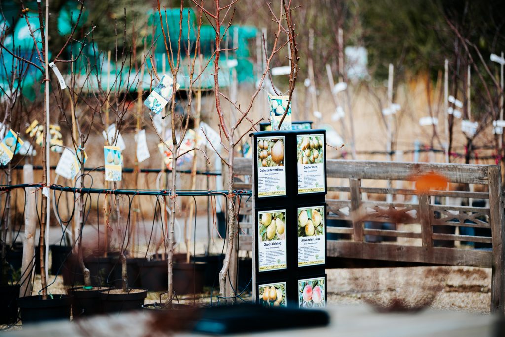 Impressionen der Anlage von Pflanzen Mohr