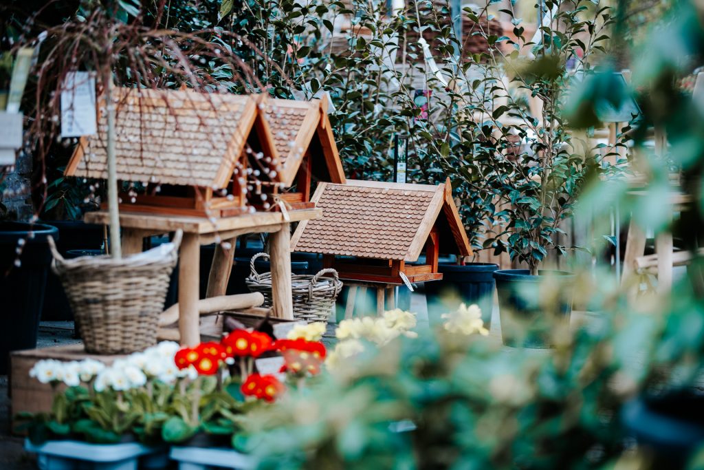 Impressionen Pflanzen Mohr in Köln.